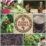 Bourbons du Rwanda et Burundi - en cartouche de 10 capsules biodégradables, compostables